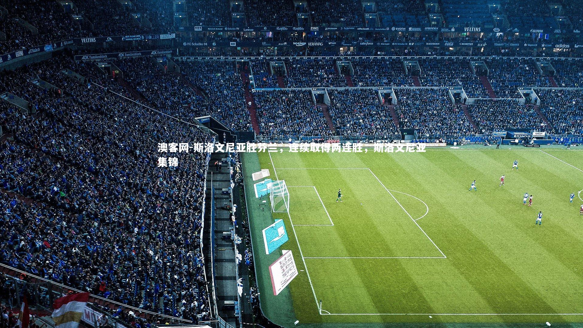 斯洛文尼亚胜芬兰,连续取得两连胜,斯洛文尼亚集锦